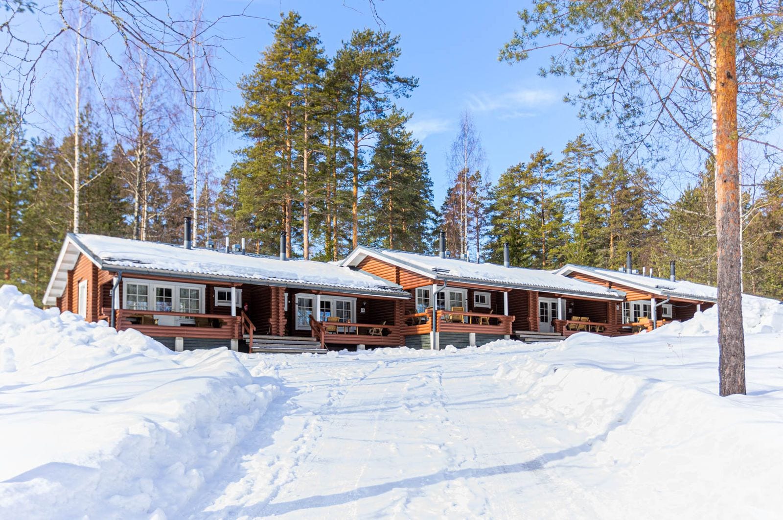 Houten huisjes in de sneeuw tussen de dennen bij Punkaharju