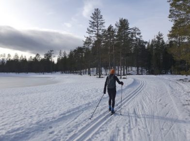 Langlaufer op een besneeuwde loipe tussen de bomen, foto van Martine Verkouter