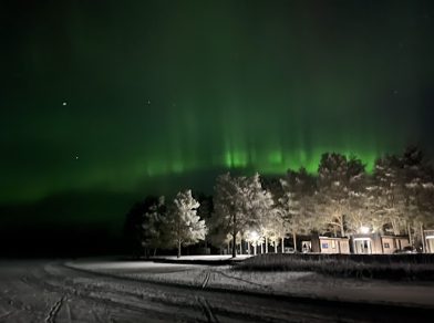 Noorderlicht boven besneeuwde bomen, foto van sander de iongh